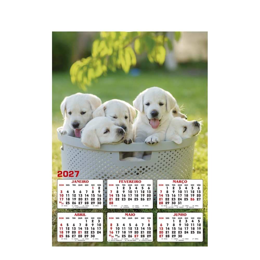 Folhinha em papel nobre 